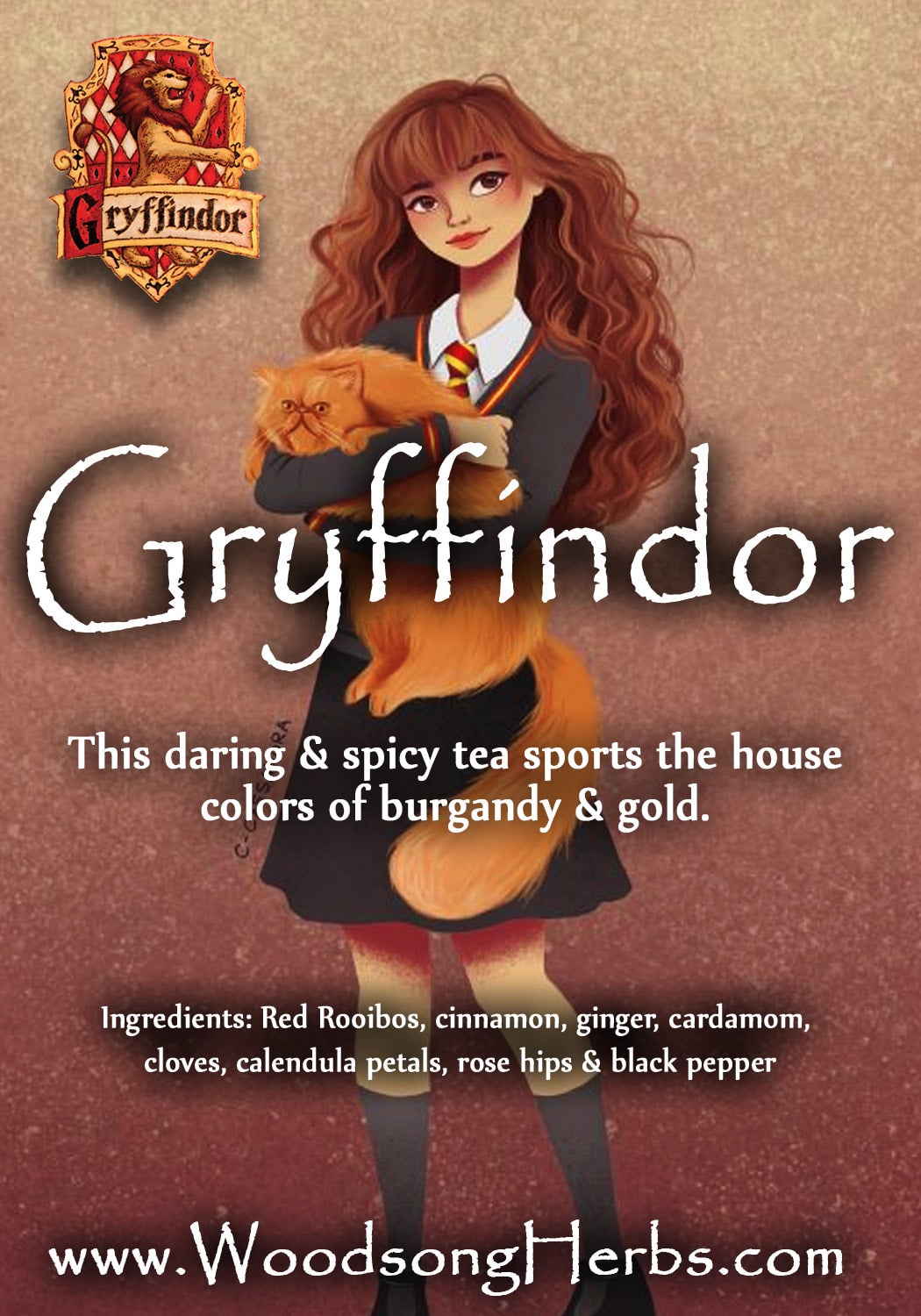 Harry Potter teapot with gryffindorscarf, accio tea, tea for one, gift for Harry  Potter fan, reader, tea drinker